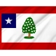 Mississippi in the American Civil War Flag for Indoor & Outdoor Use - Imagine 2