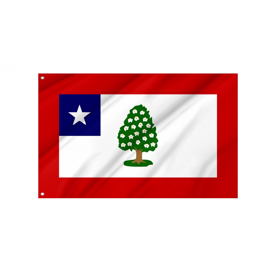 Flag of Mississippi (1861-1865), Patriotic Flags, Unique Design Print, Flags for Indoor & Outdoor Use