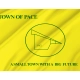 Pace Town Flag for Indoor & Outdoor Use - Imagine 2