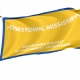 Jonestown, Mississippi Flag for Indoor & Outdoor Use - Imagine 1