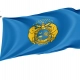 Flag of Missouri State Guard, Patriotic Flags, Unique Design Print, Flags for Indoor & Outdoor Use - Imagine 1