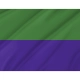 Hermann Flag for Indoor & Outdoor Use - Imagine 2