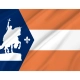 Saint Louis 1916 Flag for Indoor & Outdoor Use - Imagine 2