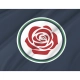 Madison, New Jersey Flag for Indoor & Outdoor Use - Imagine 2