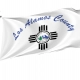 Los Alamos County Flag for Indoor & Outdoor Use - Imagine 1