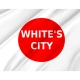 White's City Flag for Indoor & Outdoor Use - Imagine 2