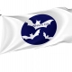 Whites City Flag for Indoor & Outdoor Use - Imagine 1
