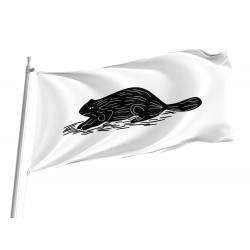 Naval ensign of New York 1775 Flag for Indoor & Outdoor Use