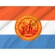 Ulster County Flag for Indoor & Outdoor Use - Imagine 2