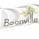 Boonville Flag for Indoor & Outdoor Use - Imagine 1