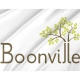 Boonville Flag for Indoor & Outdoor Use - Imagine 2