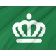 Charlotte, North Carolina Green Flag for Indoor & Outdoor Use - Imagine 2
