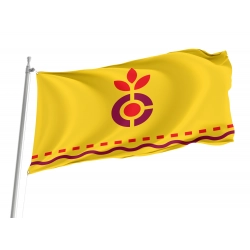 Carthage Flag for Indoor & Outdoor Use