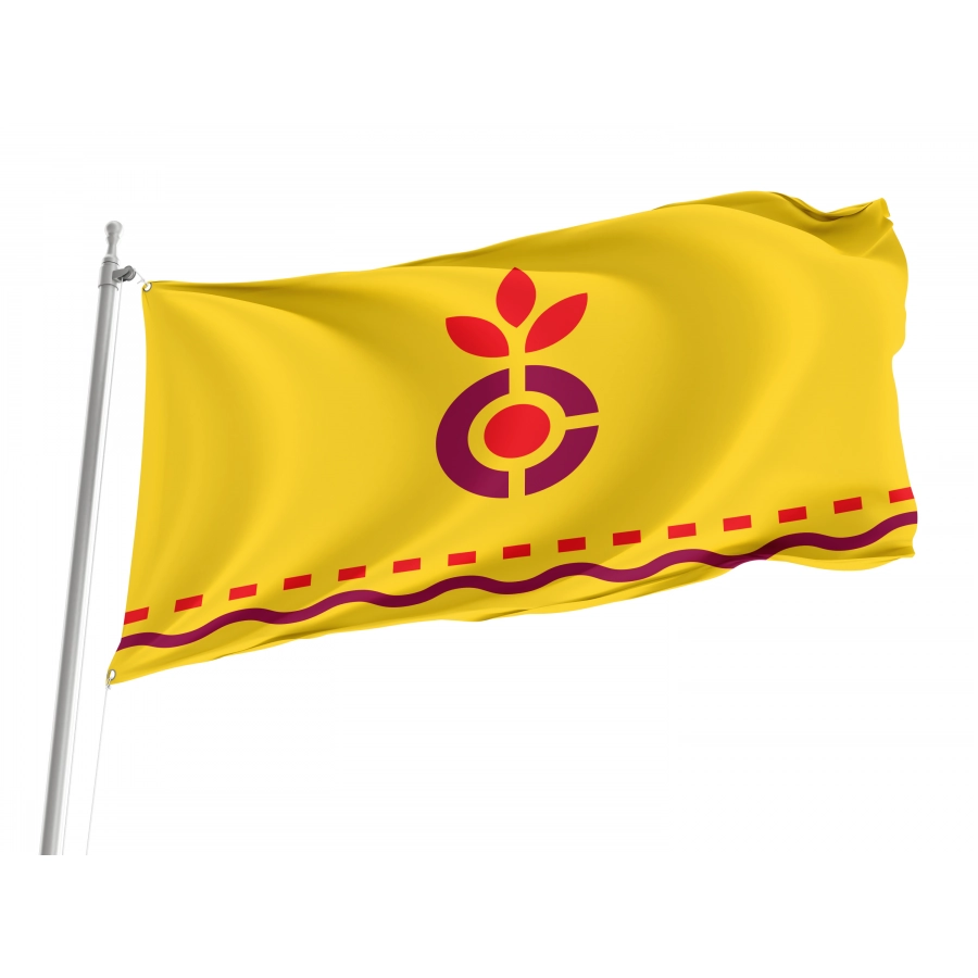 Flag of Carthage, Cincinnati, Ohio, Patriotic Flags, Unique Design Print, Flags for Indoor & Outdoor Use