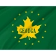 Geauga County, Ohio Flag for Indoor & Outdoor Use - Imagine 2