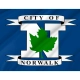 Norwalk City, Ohio Flag for Indoor & Outdoor Use - Imagine 2