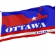 Ottawa County, Ohio Flag for Indoor & Outdoor Use - Imagine 1
