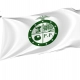 Pee Pee Township Flag for Indoor & Outdoor Use - Imagine 1