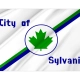 Sylvania (1977-2021), Ohio Flag for Indoor & Outdoor Use - Imagine 2