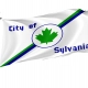 Sylvania (1977-2021), Ohio Flag for Indoor & Outdoor Use - Imagine 1