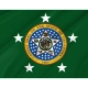 Governor of Oklahoma Flag for Indoor & Outdoor Use - Imagine 2