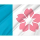 Salem, Oregon Flag for Indoor & Outdoor Use - Imagine 2
