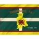 Ebensburg, Pennsylvania Flag for Indoor & Outdoor Use - Imagine 2