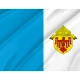 Roman Catholic Archdiocese of Chicago Flag for Indoor & Outdoor Use - Imagine 2