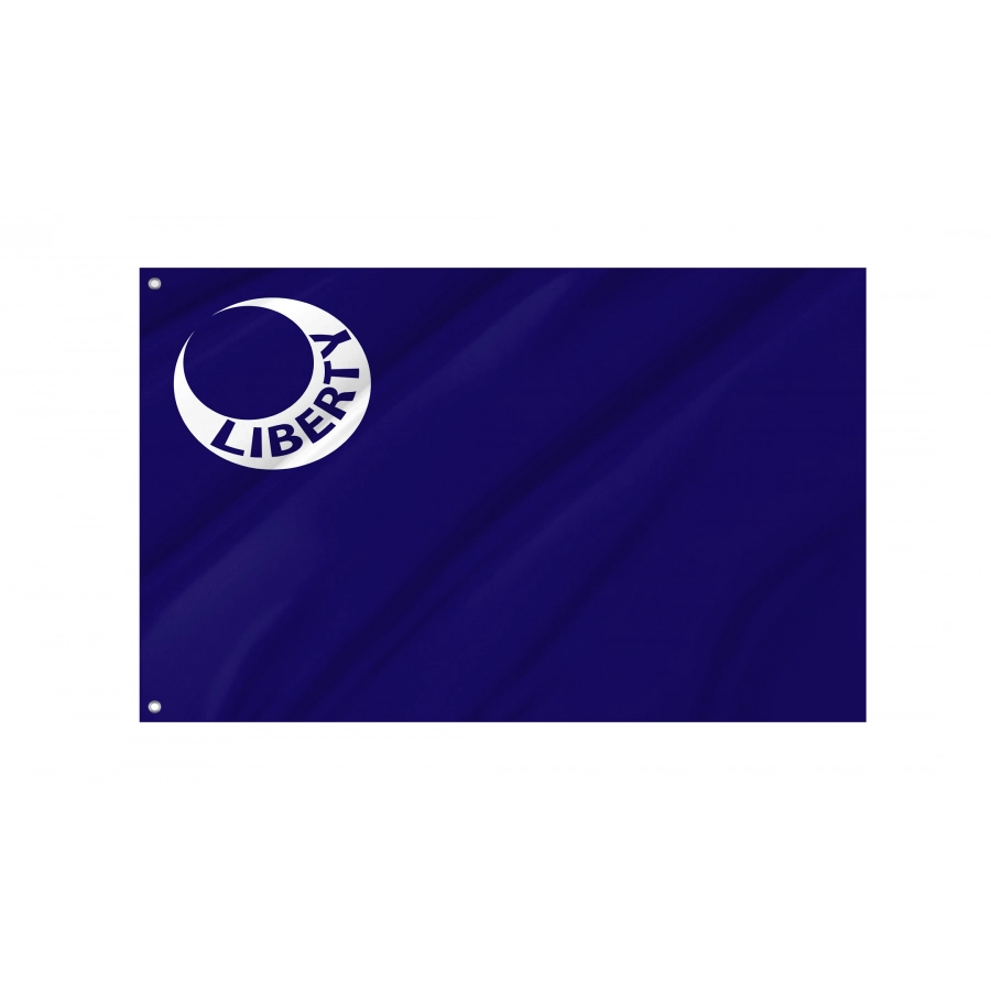 Flag of Fort Moultrie, South Carolina, Patriotic Flags, Unique Design Print, Flags for Indoor & Outdoor Use