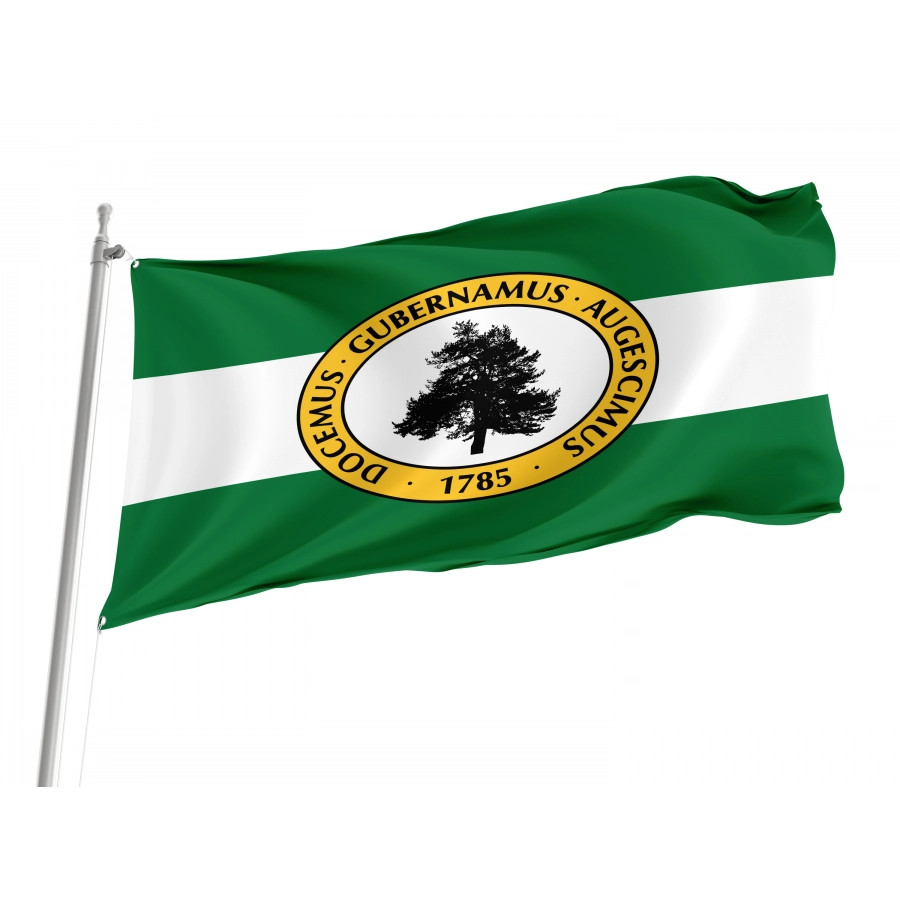 Flag of Richland County, South Carolina, Patriotic Flags, Unique Design Print, Flags for Indoor & Outdoor Use