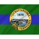 Chattanooga, Tennessee Flag for Indoor & Outdoor Use - Imagine 2