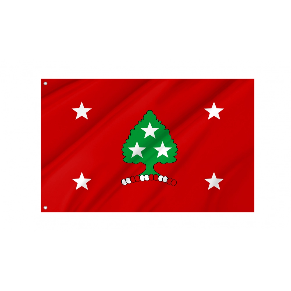 Governor of Tennessee Flags for Indoor & Outdoor Use