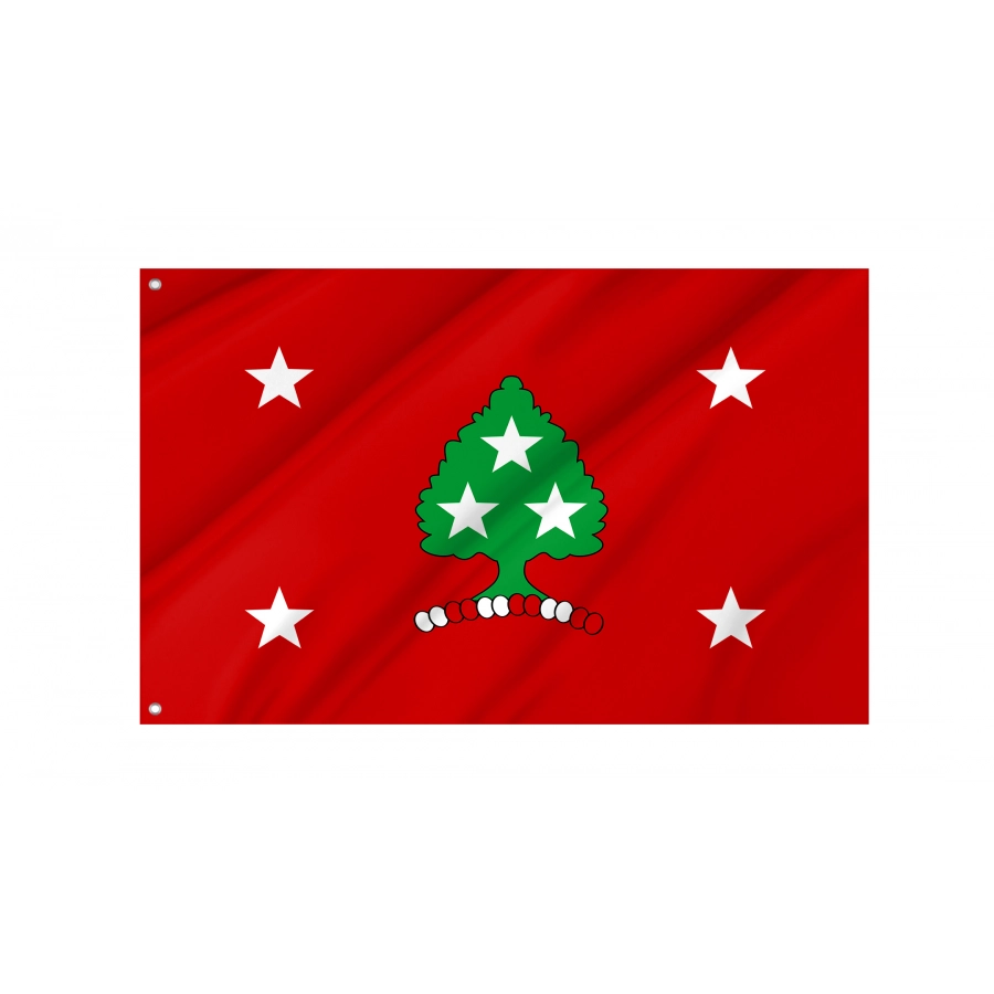 Flag of Governor of Tennessee, Patriotic Flags, Unique Design Print, Flags for Indoor & Outdoor Use