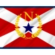 Nashville and Davidson County 1961-1964, Tennessee Flag for Indoor & Outdoor Use - Imagine 2
