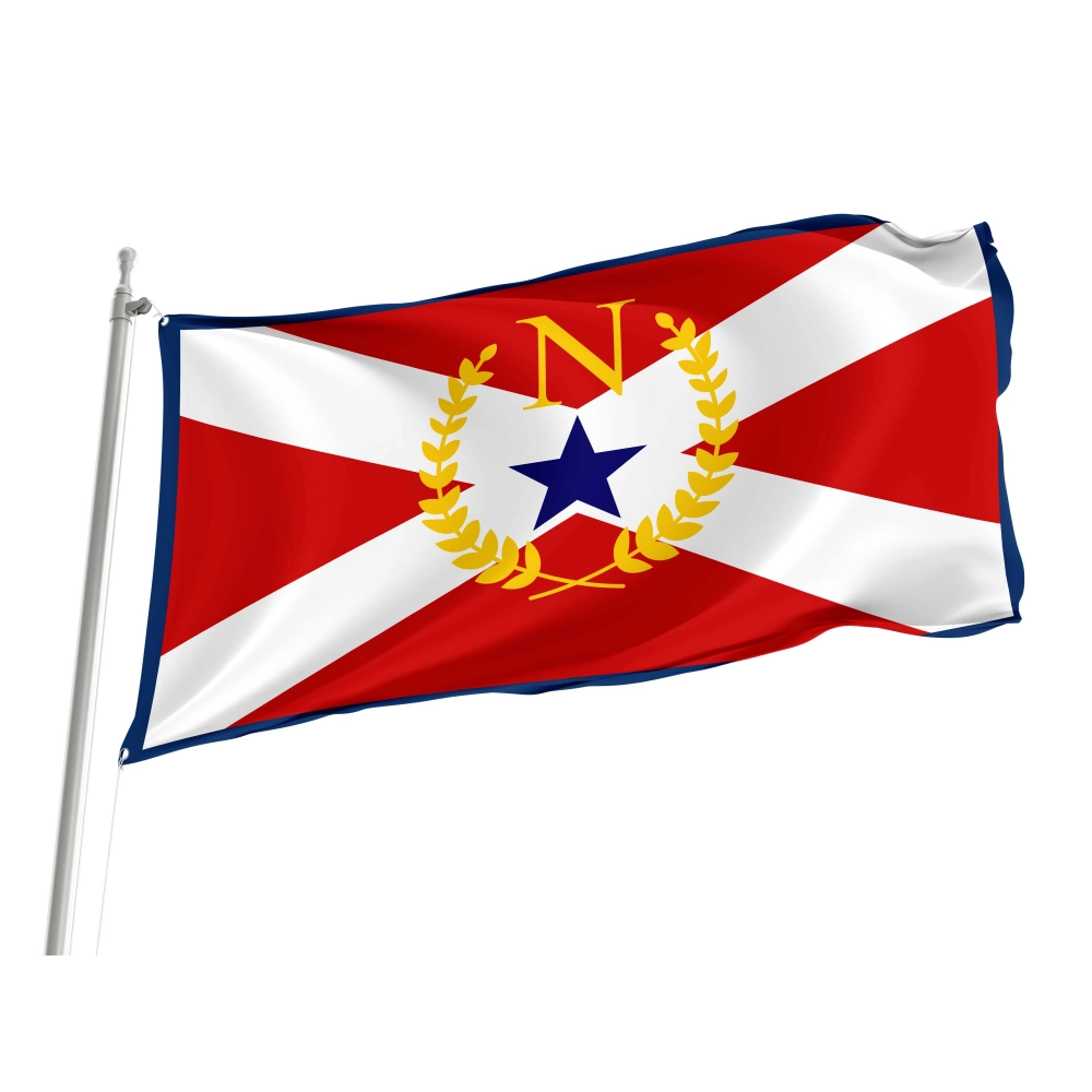 Nashville and Davidson County 1961-1964, Tennessee Flag for Indoor & Outdoor Use