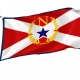 Nashville and Davidson County 1961-1964, Tennessee Flag for Indoor & Outdoor Use - Imagine 1