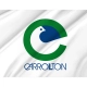 Carrollton, Texas Flag for Indoor & Outdoor Use - Imagine 2