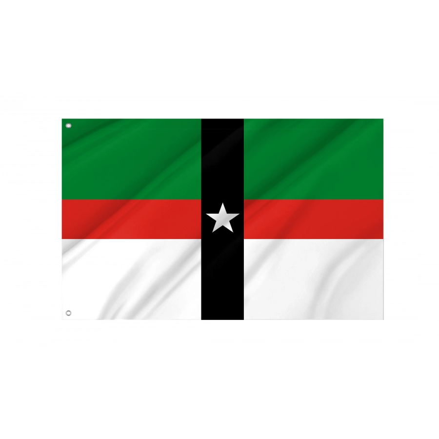 Flag of Denison, Texas, Patriotic Flags, Unique Design Print, Flags for Indoor & Outdoor Use