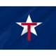 Texas State Guard Flag for Indoor & Outdoor Use - Imagine 2