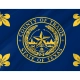 Travis County Flag for Indoor & Outdoor Use - Imagine 2