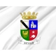 Bexar County, Texas Flag for Indoor & Outdoor Use - Imagine 2