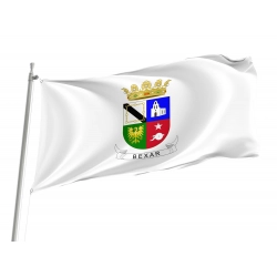 Bexar County, Texas Flag for Indoor & Outdoor Use