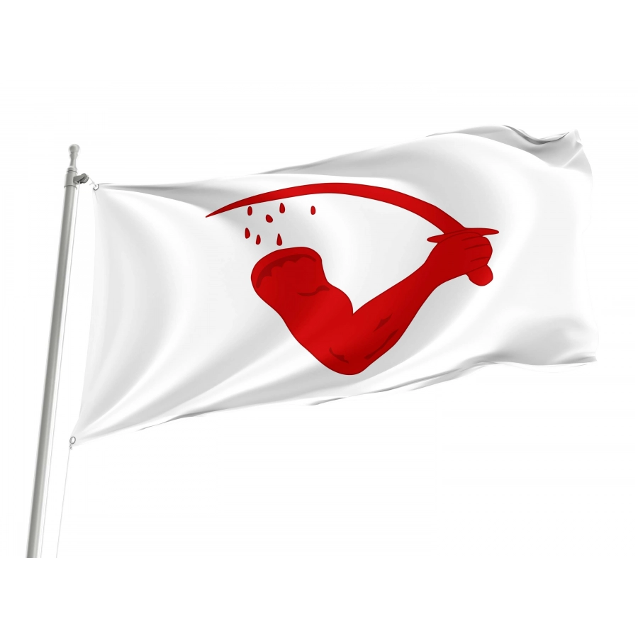 Goliad County, Texas  Flag for Indoor & Outdoor Use, USA384