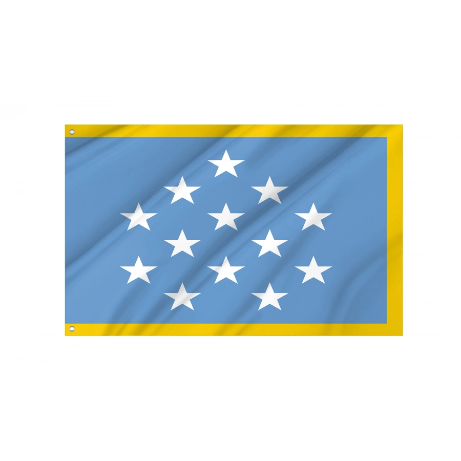 Us Medal Of Honor Flag With Gold Fringe, Patriotic Flags, Unique Design Print, Flags For Indoor & Outdoor Use - High Quality United States for Indoor and Outdoor Use