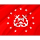United States Under Secretary of the Treasury Flag for Indoor & Outdoor Use - Imagine 2