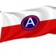 United States Army Central Flag for Indoor & Outdoor Use - Imagine 1