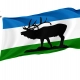 Elk Ridge Flag for Indoor & Outdoor Use - Imagine 1
