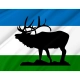 Elk Ridge Flag for Indoor & Outdoor Use - Imagine 2