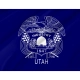 Utah 1903-1913 Flag for Indoor & Outdoor Use - Imagine 2