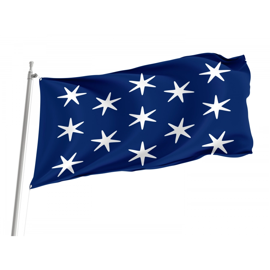 George Washington Personal Position Flag, Patriotic Flags, Unique Design Print, Flags for Indoor & Outdoor Use